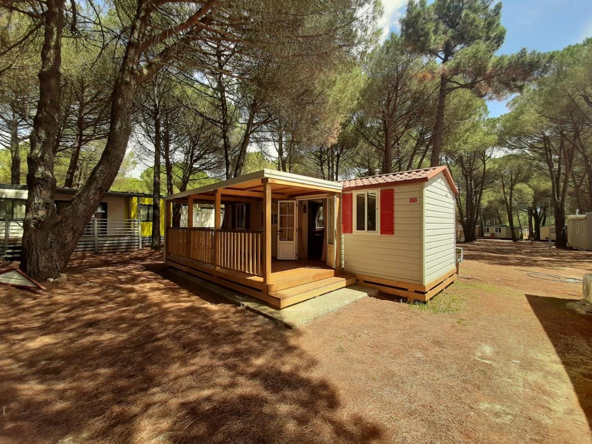 פאז'אנה Lux Camp - Mobile Homes In Bi Village מראה חיצוני תמונה